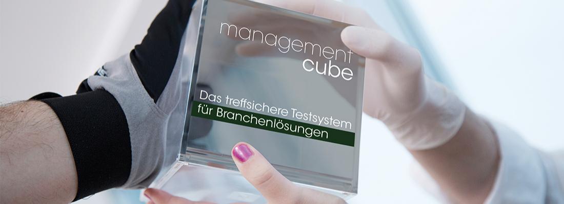 mangementcube personaldiagnostik Branchenloesungen